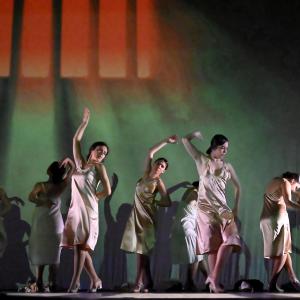 Fotografía de Las rosas (estreno) - Conservatorio de Danza