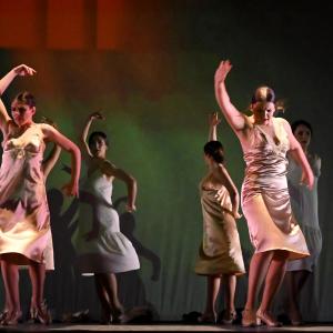 Fotografía de Las rosas (estreno) - Conservatorio de Danza