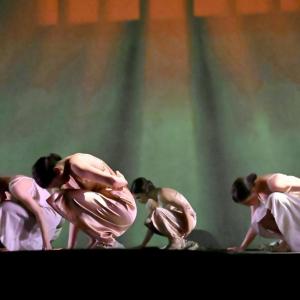Fotografía de Las rosas (estreno) - Conservatorio de Danza