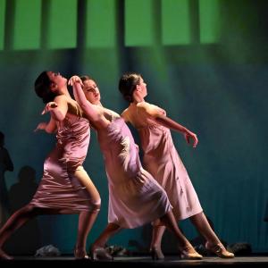 Fotografía de Las rosas (estreno) - Conservatorio de Danza