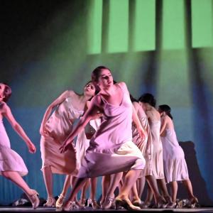 Fotografía de Las rosas (estreno) - Conservatorio de Danza