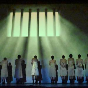 Fotografía de Las rosas (estreno) - Conservatorio de Danza