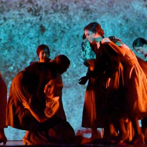 Fotografía de Las rosas (estreno) - Conservatorio de Danza