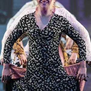 Fotografía de Las rosas (galería 2 del estreno) - Conservatorio de Danza