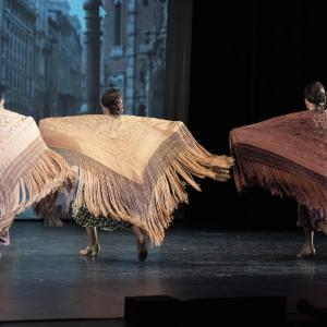 Fotografía de Las rosas (galería 2 del estreno) - Conservatorio de Danza