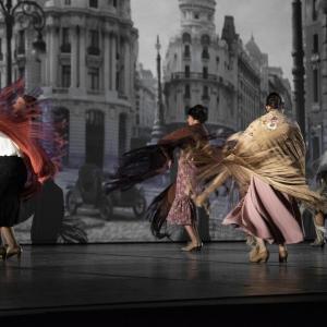 Fotografía de Las rosas (galería 2 del estreno) - Conservatorio de Danza