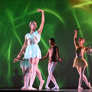 Fotografía de Talleres Danza Clásica - Conservatorio de Danza