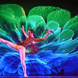 Fotografía de Talleres Danza Clásica - Conservatorio de Danza