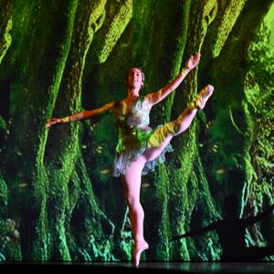 Fotografía de Talleres Danza Clásica - Conservatorio de Danza