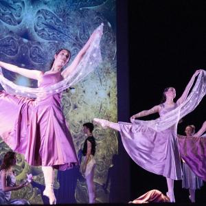 Fotografía de Talleres Danza Clásica (galería 2) - Conservatorio de Danza