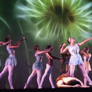 Fotografía de Talleres Danza Clásica (galería 2) - Conservatorio de Danza