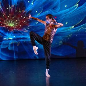Fotografía de Talleres Danza Clásica (galería 2) - Conservatorio de Danza