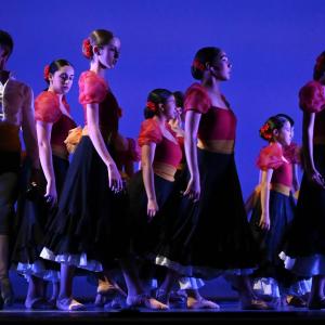 Fotografía de Talleres Danza Española - Conservatorio de Danza