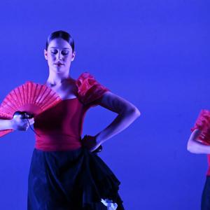 Fotografía de Talleres Danza Española - Conservatorio de Danza
