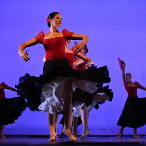 Fotografía de Talleres Danza Española - Conservatorio de Danza
