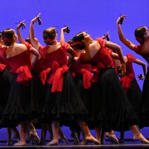 Fotografía de Talleres Danza Española - Conservatorio de Danza