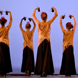 Fotografía de Talleres Danza Española - Conservatorio de Danza