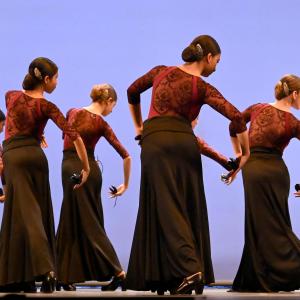 Fotografía de Talleres Danza Española - Conservatorio de Danza