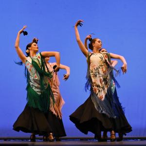 Fotografía de Talleres Danza Española - Conservatorio de Danza