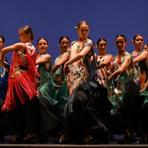 Fotografía de Talleres Danza Española - Conservatorio de Danza
