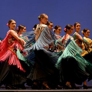 Fotografía de Talleres Danza Española - Conservatorio de Danza