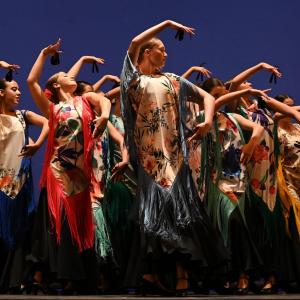 Fotografía de Talleres Danza Española - Conservatorio de Danza
