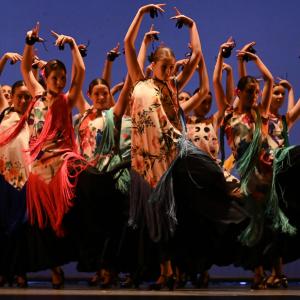 Fotografía de Talleres Danza Española - Conservatorio de Danza