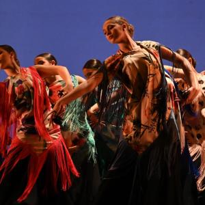 Fotografía de Talleres Danza Española - Conservatorio de Danza
