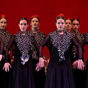 Fotografía de Talleres Danza Española - Conservatorio de Danza