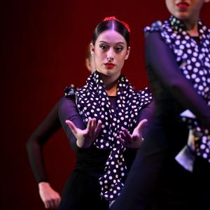 Fotografía de Talleres Danza Española - Conservatorio de Danza