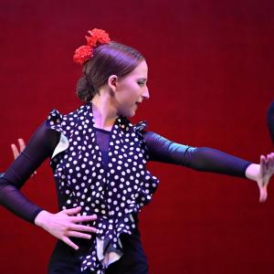 Fotografía de Talleres Danza Española - Conservatorio de Danza
