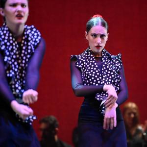 Fotografía de Talleres Danza Española - Conservatorio de Danza