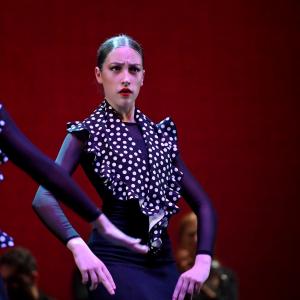 Fotografía de Talleres Danza Española - Conservatorio de Danza