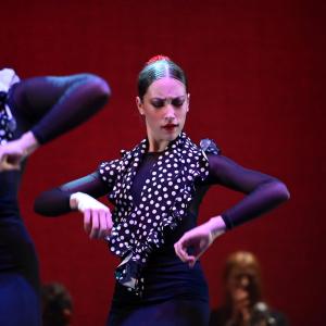 Fotografía de Talleres Danza Española - Conservatorio de Danza