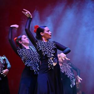 Fotografía de Talleres Danza Española - Conservatorio de Danza