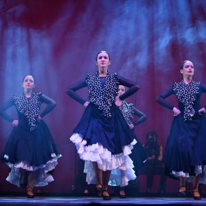 Fotografía de Talleres Danza Española - Conservatorio de Danza