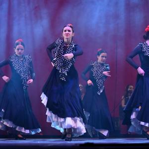 Fotografía de Talleres Danza Española - Conservatorio de Danza