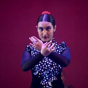 Fotografía de Talleres Danza Española - Conservatorio de Danza