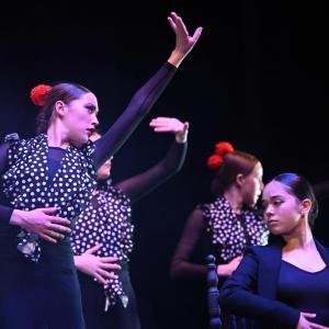 Fotografía de Talleres Danza Española - Conservatorio de Danza
