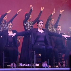 Fotografía de Talleres Danza Española - Conservatorio de Danza