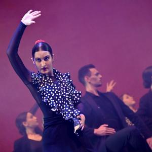 Fotografía de Talleres Danza Española - Conservatorio de Danza