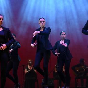 Fotografía de Talleres Danza Española - Conservatorio de Danza