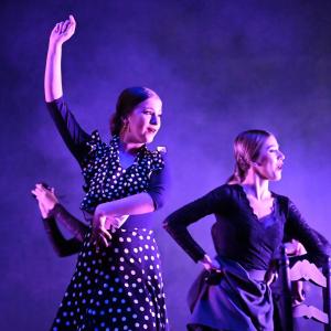 Fotografía de Talleres Baile Flamenco - Conservatorio de Danza