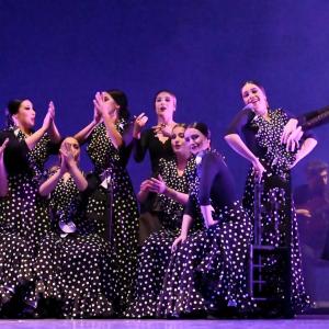 Fotografía de Talleres Baile Flamenco - Conservatorio de Danza