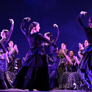 Fotografía de Talleres Baile Flamenco - Conservatorio de Danza