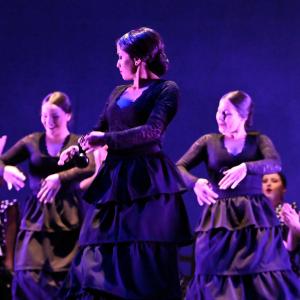 Fotografía de Talleres Baile Flamenco - Conservatorio de Danza