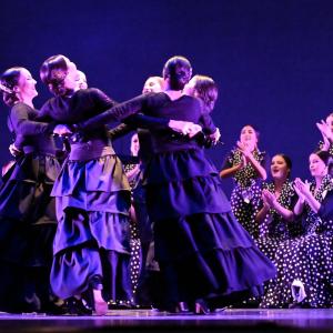 Fotografía de Talleres Baile Flamenco - Conservatorio de Danza