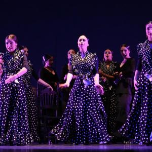 Fotografía de Talleres Baile Flamenco - Conservatorio de Danza