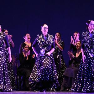 Fotografía de Talleres Baile Flamenco - Conservatorio de Danza