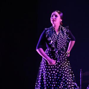 Fotografía de Talleres Baile Flamenco - Conservatorio de Danza